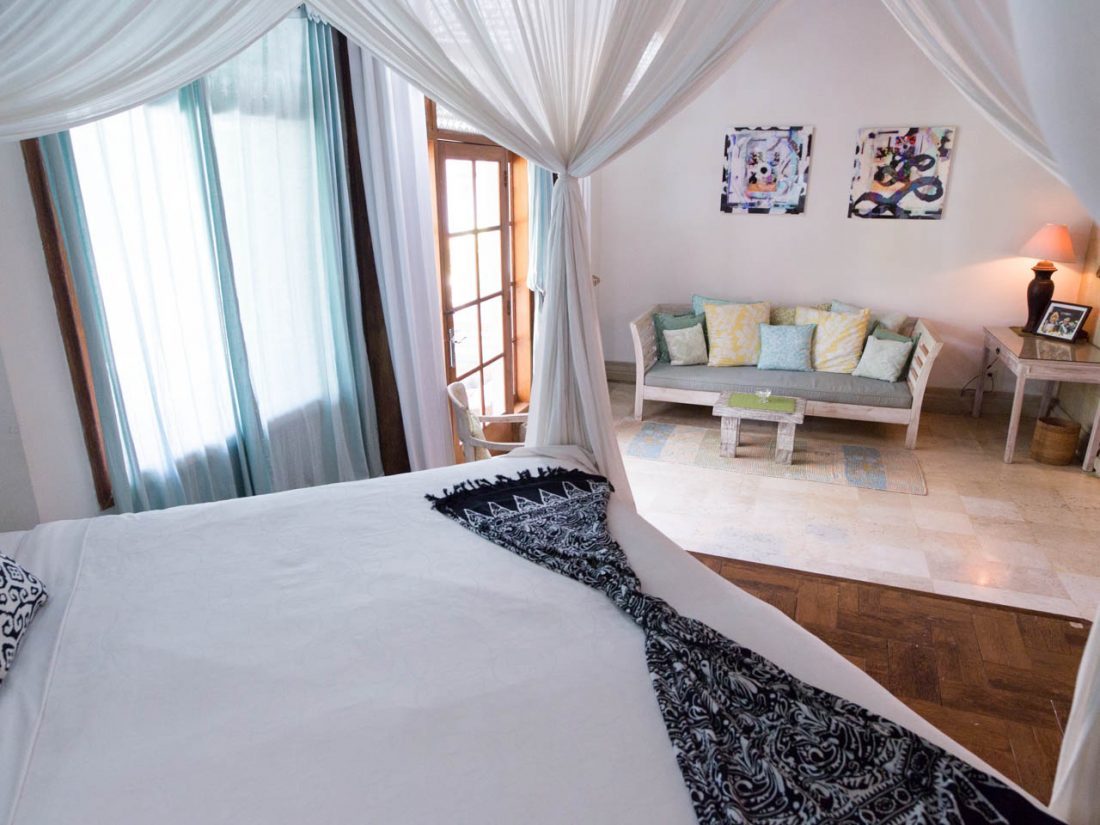 Gecko Suite 
