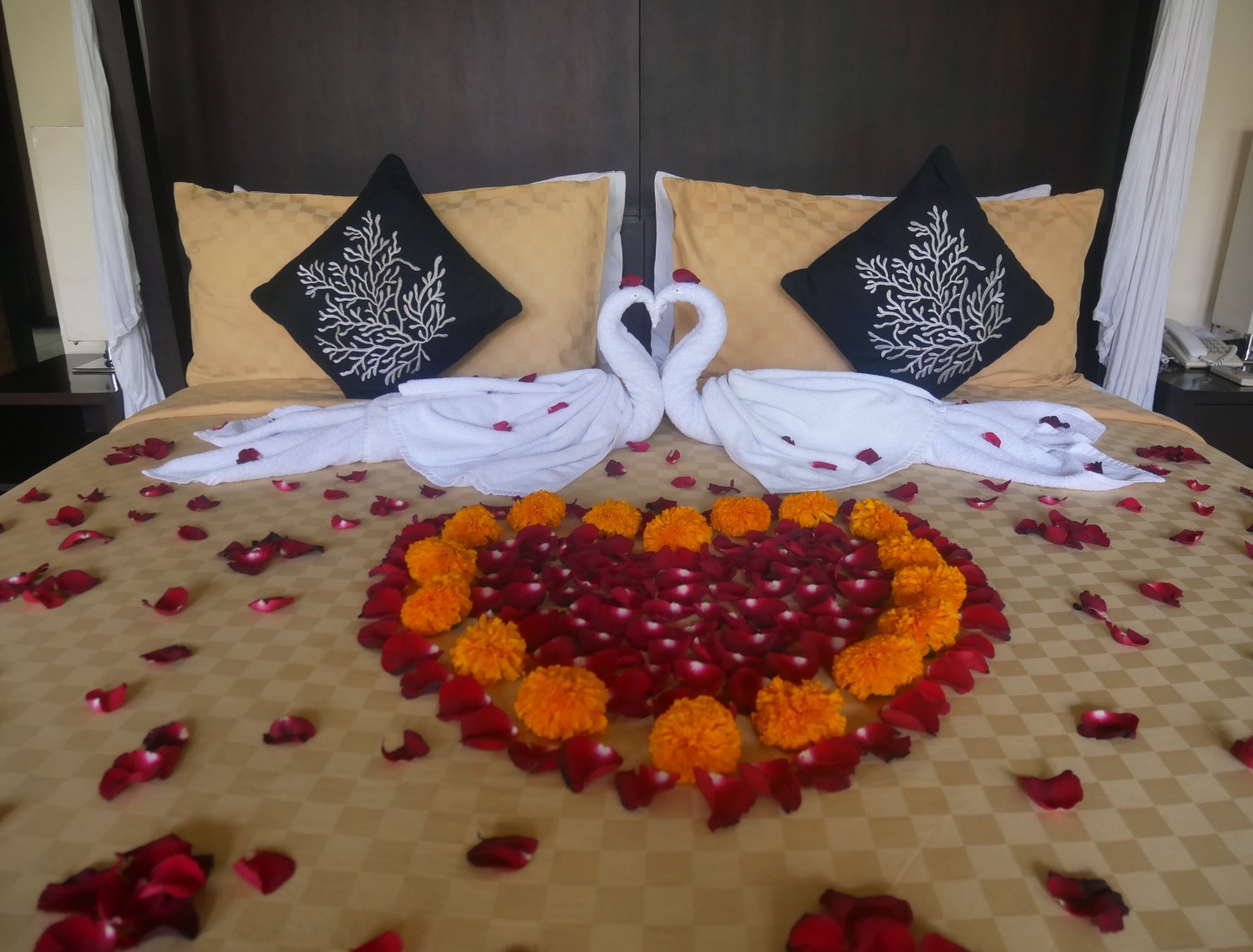 Honeymoon Setup